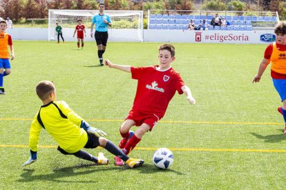 I Torneo Elige Soria de fútbol 7 Benjamín - MARIO TEJEDOR (11)