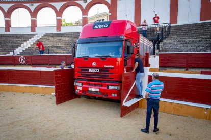 Los astados del Viernes de Toros llegan a los corrales - MARIO TEJEDOR (2)