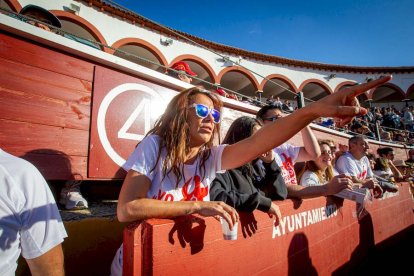 Los astados del Viernes de Toros llegan a los corrales - MARIO TEJEDOR (16)