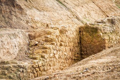 Obras de puesta en valor de la muralla de Almazán. MARIO TEJEDOR (14)