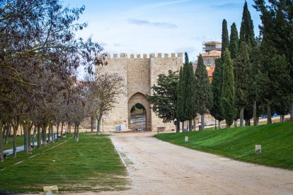 Obras de puesta en valor de la muralla de Almazán. MARIO TEJEDOR (18)