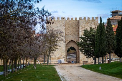 Obras de puesta en valor de la muralla de Almazán. MARIO TEJEDOR (21)