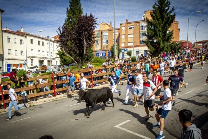 Encierro urbano - MARIO TEJEDOR (14)