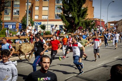 Encierro urbano - MARIO TEJEDOR (7)