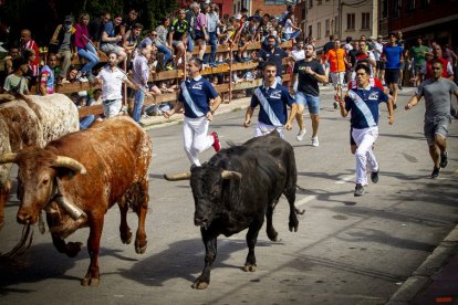Encierro urbano - MARIO TEJEDOR (26)