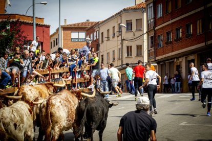 Encierro urbano - MARIO TEJEDOR (29)