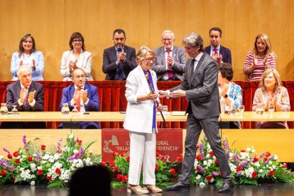Entrega de honores y distinciones de la ciudad de Soria. - MARIO TEJEDOR