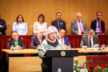Entrega de honores y distinciones de la ciudad de Soria. - MARIO TEJEDOR