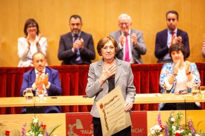 Entrega de honores y distinciones de la ciudad de Soria. - MARIO TEJEDOR