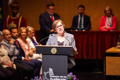 Entrega de honores y distinciones de la ciudad de Soria. - MARIO TEJEDOR