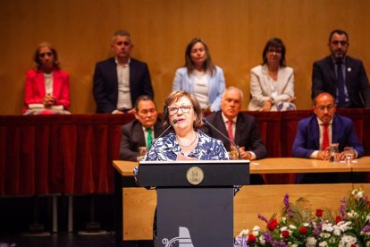 Entrega de honores y distinciones de la ciudad de Soria. - MARIO TEJEDOR