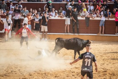 Vaquillas después de la Saca.-G. MONTESEGURO