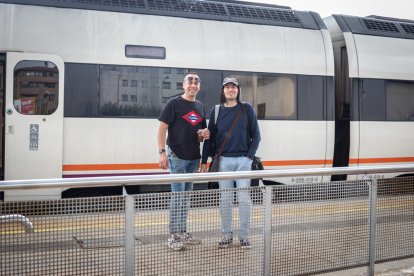 Línea de tren entre Soria y Madrid. - GONZALO MONTESEGURO