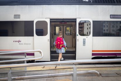 Línea de tren entre Soria y Madrid. - GONZALO MONTESEGURO