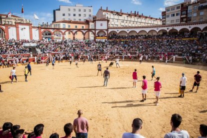 Vaquillas después de la Saca.-G. MONTESEGURO