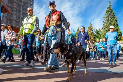 Marcha de la Hermandad de Donantes. MARIO TEJEDOR (14)