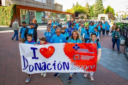 Marcha de la Hermandad de Donantes. MARIO TEJEDOR (16)