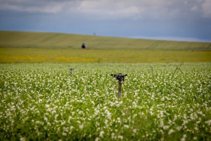 <p>Las viejas tajaderas y una red capilar de cemento y hormigón dio paso a <strong>un sistema de bombas de agua, válvulas y llaves de cierre.</strong></p>

<p>Se le llamó <strong>modernización del Canal de Almazán</strong> y riega más y mejor 5.000 hectáreas en la margen izquierda del Duero. Un vergel.</p>

<p>FOTÓGRAFO: MARIO TEJEDOR</p>