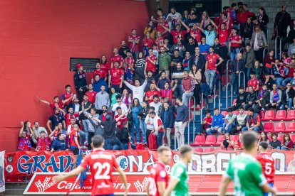La afición respondió pero la permanencia no se pudo consumar. MARIO TEJEDOR