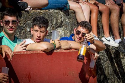 Ambiente en el desencajonamiento - MARIO TEJEDOR (14)