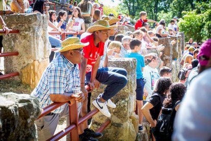 Ambiente en el desencajonamiento - MARIO TEJEDOR (17)
