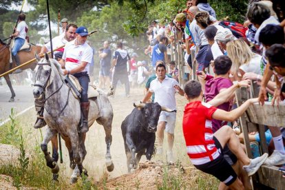 Tramos de monte hasta el descansadero de la Venta del Aire - MARIO TEJEDOR (23)
