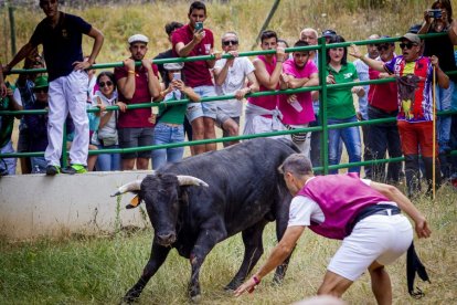 Tramos de monte hasta el descansadero de la Venta del Aire - MARIO TEJEDOR (34)