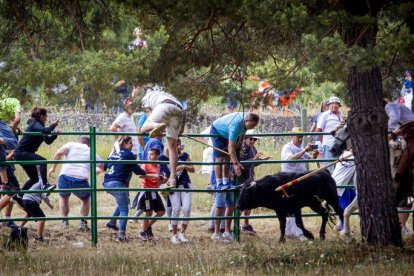 Tramos de monte hasta el descansadero de la Venta del Aire - MARIO TEJEDOR (22)
