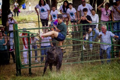 Tramos de monte hasta el descansadero de la Venta del Aire - MARIO TEJEDOR (35)