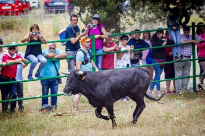 Tramos de monte hasta el descansadero de la Venta del Aire - MARIO TEJEDOR (20)