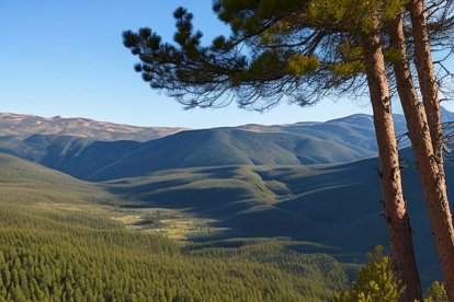 Otro paisaje de la zona de Pinares que bien podría ser real.