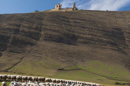 Trashumancia con la ermita del Mirón al fondo según la inteligencia artifical. Se ha 'comido ' el Duero y la muralla, pero tiene su grado de acierto.