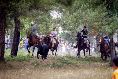 Tramos de monte hasta el descansadero de la Venta del Aire - MARIO TEJEDOR (11)