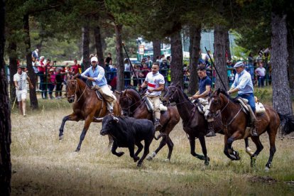 Tramos de monte hasta el descansadero de la Venta del Aire - MARIO TEJEDOR (13)