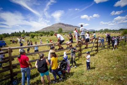 Tramos de monte hasta el descansadero de la Venta del Aire - MARIO TEJEDOR (1)