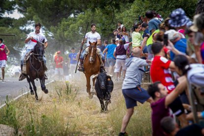 Tramos de monte hasta el descansadero de la Venta del Aire - MARIO TEJEDOR (14)