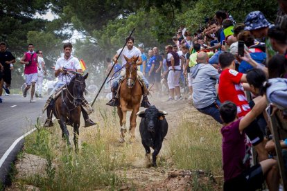Tramos de monte hasta el descansadero de la Venta del Aire - MARIO TEJEDOR (15)