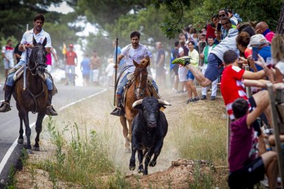 Tramos de monte hasta el descansadero de la Venta del Aire - MARIO TEJEDOR (16)