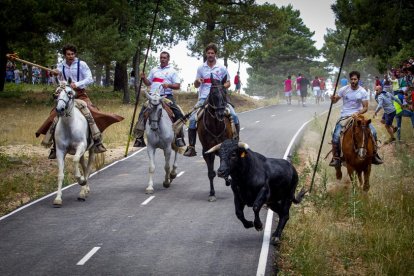 Tramos de monte hasta el descansadero de la Venta del Aire - MARIO TEJEDOR (17)