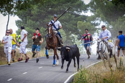 Tramos de monte hasta el descansadero de la Venta del Aire - MARIO TEJEDOR (18)