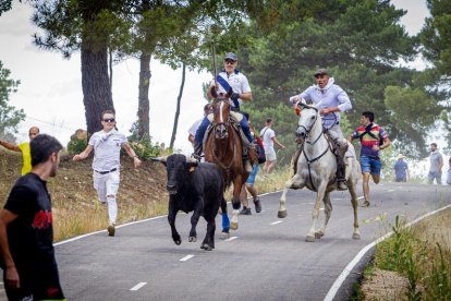 Tramos de monte hasta el descansadero de la Venta del Aire - MARIO TEJEDOR (19)