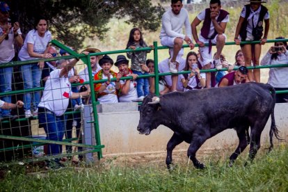 Tramos de monte hasta el descansadero de la Venta del Aire - MARIO TEJEDOR (21)