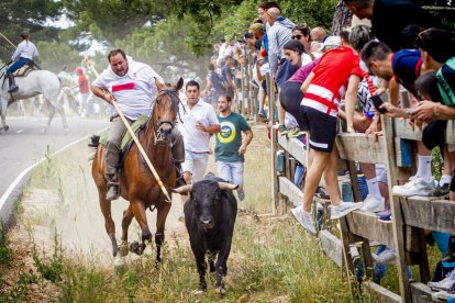 Tramos de monte hasta el descansadero de la Venta del Aire - MARIO TEJEDOR (24)