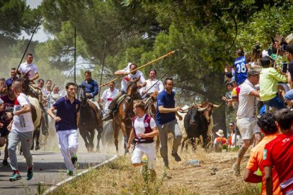 Tramos de monte hasta el descansadero de la Venta del Aire - MARIO TEJEDOR (26)