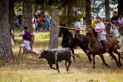 Tramos de monte hasta el descansadero de la Venta del Aire - MARIO TEJEDOR (27)