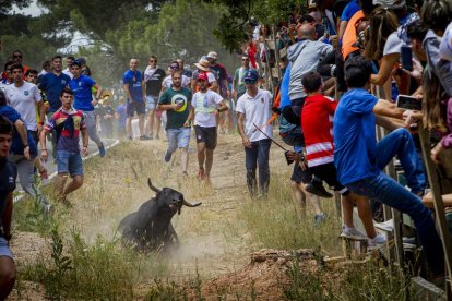 Tramos de monte hasta el descansadero de la Venta del Aire - MARIO TEJEDOR (28)