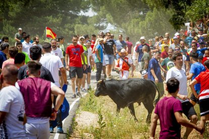 Tramos de monte hasta el descansadero de la Venta del Aire - MARIO TEJEDOR (29)