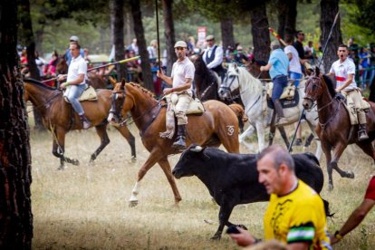 Tramos de monte hasta el descansadero de la Venta del Aire - MARIO TEJEDOR (30)
