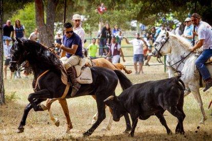 Tramos de monte hasta el descansadero de la Venta del Aire - MARIO TEJEDOR (31)