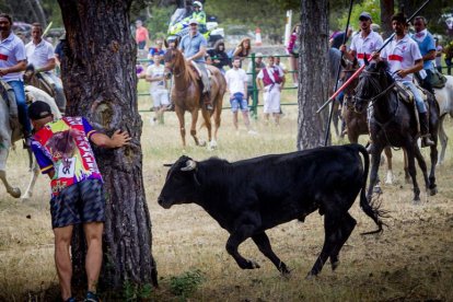 Tramos de monte hasta el descansadero de la Venta del Aire - MARIO TEJEDOR (32)